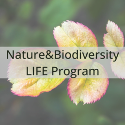 LIFE NATURE & BIODIVERSITY